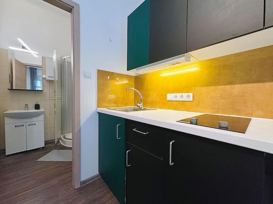 Raday 2 Apartment *