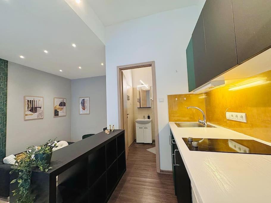 Apartment Raday 2 *