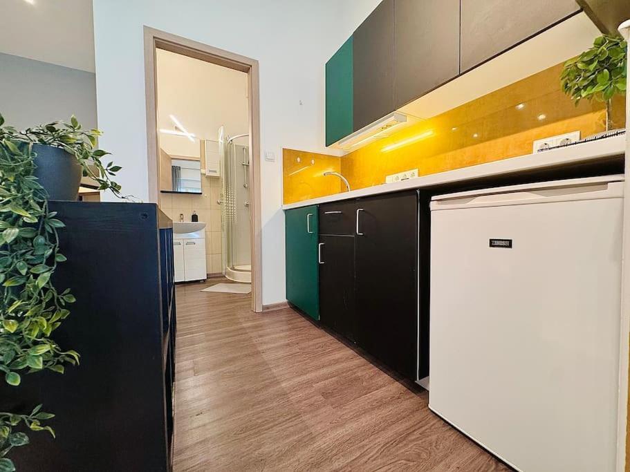 Raday 2 Apartment *